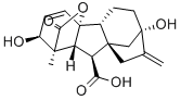 Structure d'acide gibbérélique